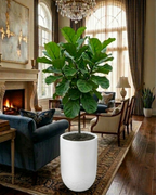 Round "U" shape FRP Planter PL-03 | 38x56 CM