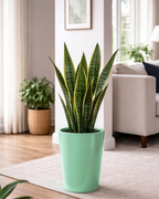 Tall tapered round planter PL-05 |30x45 CM
