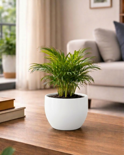 Round FRP Planter PL-08 | 20x20 CM