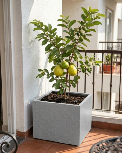 Modern Cube Design PL-14 | 65x63x38 CM