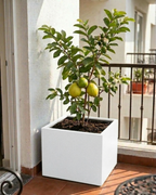 Modern Cube Design PL-14 | 65x63x38 CM