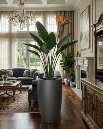 Modern Tall FRP Planter PL-02|33x56 CM