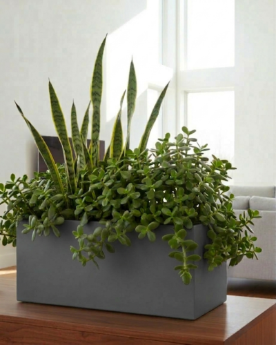 Modern Rectangular Design PL-22 | 105x45x45 CM