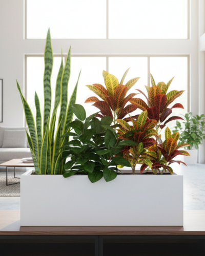 Modern Rectangular Design PL-21 | 120x45x45 CM Main image